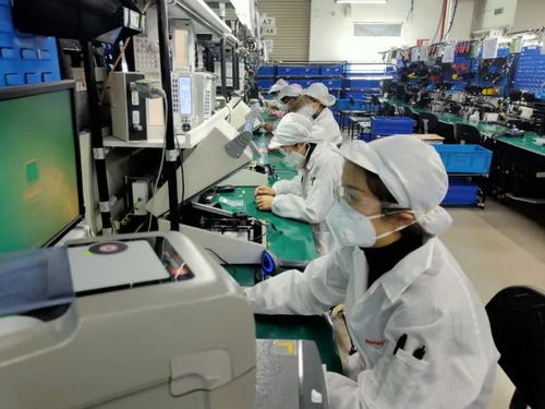 数据驱动复苏 2月失业率回落至6.2% 全面复工与数据处理服务助力劳动力市场回暖